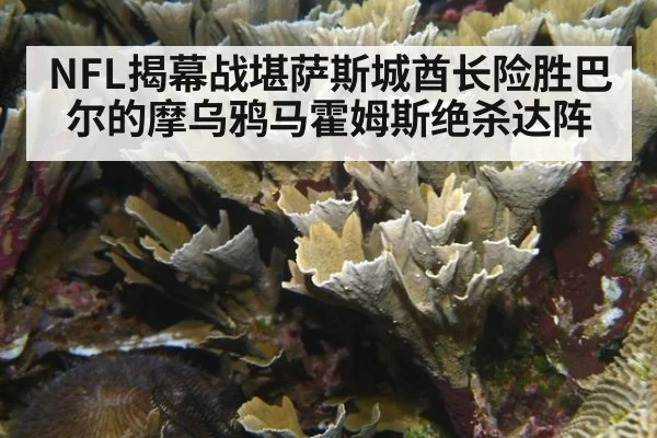 NFL揭幕战堪萨斯城酋长险胜巴尔的摩乌鸦马霍姆斯绝杀达阵